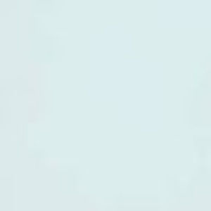 Meet your Posher, Rawda